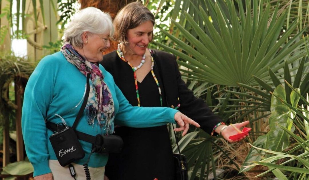 Smallest Lightweight Portable Concentrator Comparison